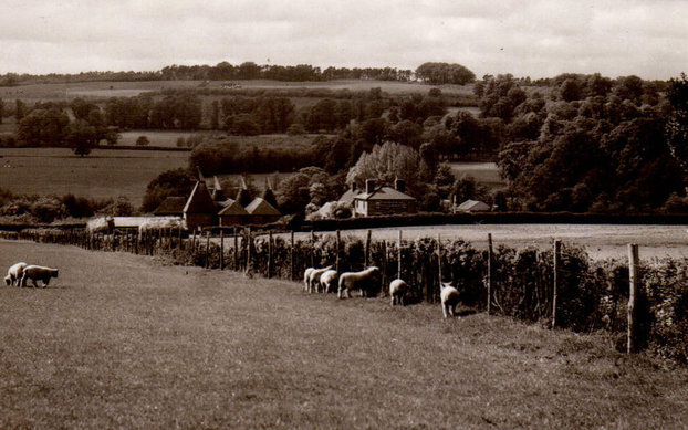 Forge Gate Inn, Mereworth