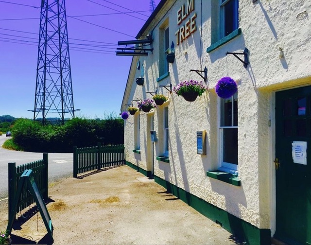 Elm Tree, Paddock Wood