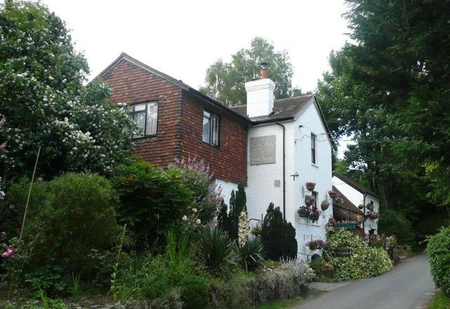 Golding Hop, Plaxtol