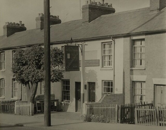 Ancient Druids, Tonbridge