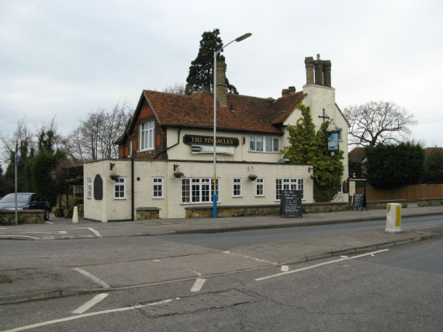 The Pinnacles, Tonbridge