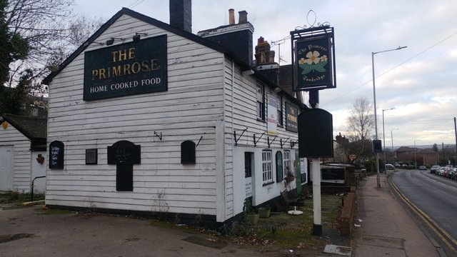 The Primrose, Tonbridge