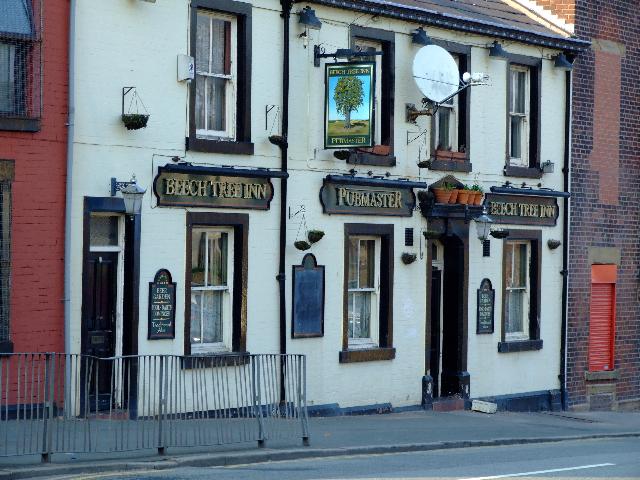 Beech Tree, Blackburn