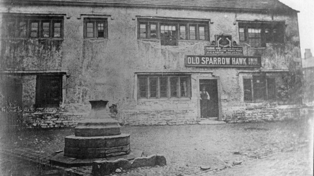 Old Sparrow Hawk, Burnley