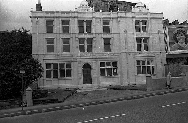Plane Tree, Burnley