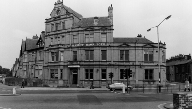 Sparrow Hawk, Burnley