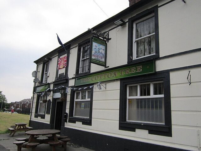 Cotton Tree, Manchester