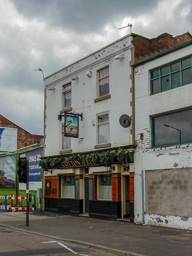 Cotton Tree, Manchester