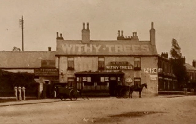 Withy Trees, Preston