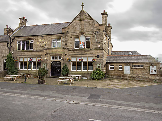 Bay Horse, Worsthorne