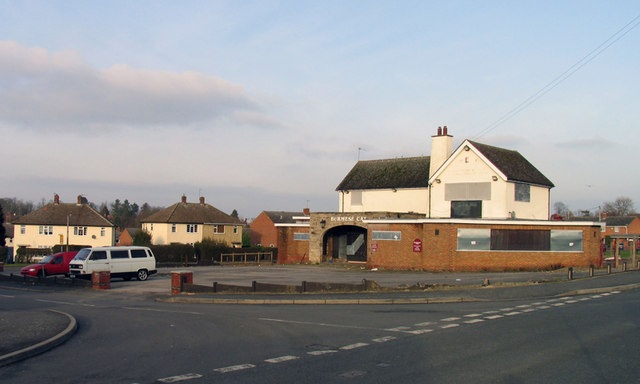 Burmese Cat, Melton Mowbray