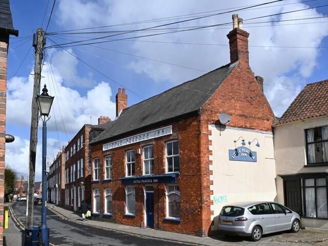 Little Peacock, Boston