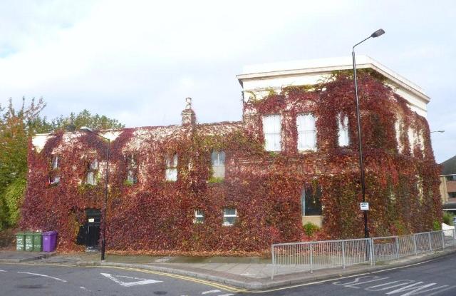 Sabbarton Arms, Poplar