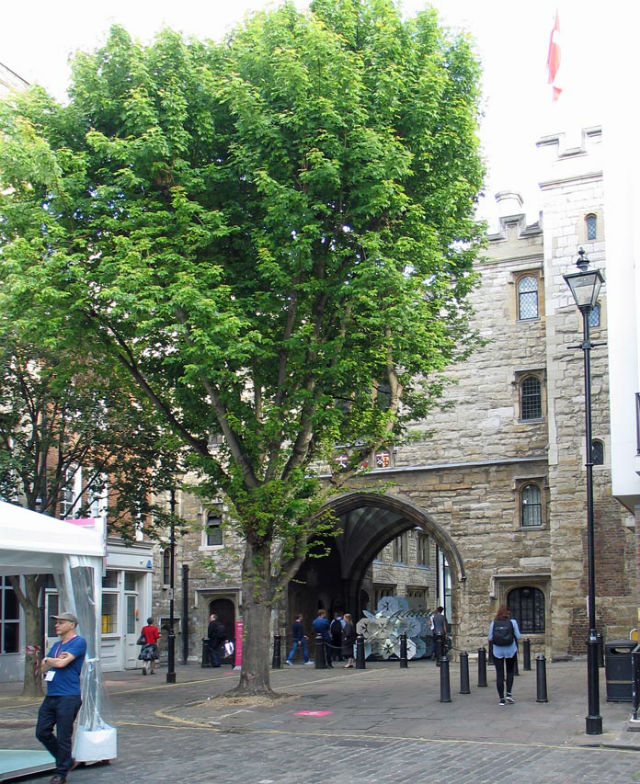 Jerusalem Tavern, Clerkenwell