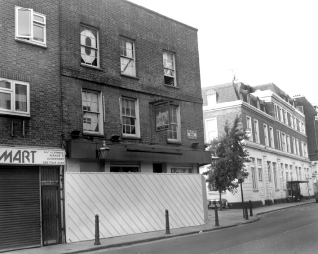Willow Tree, Islington