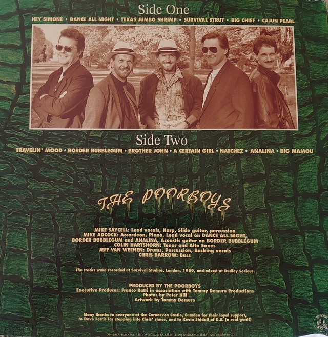 Caernarvon Castle, Camden