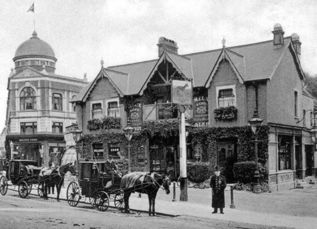 The Greyhound, Sydenham