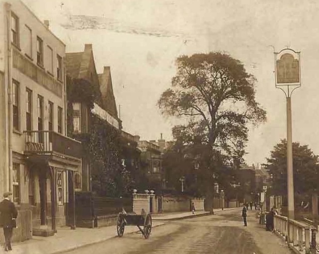 Red Lion, Chiswick