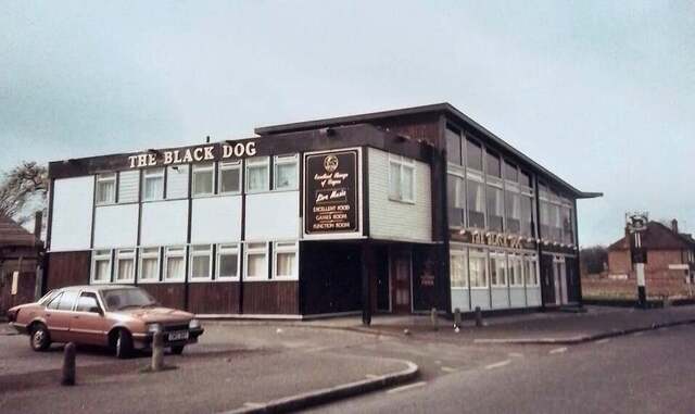 Black Dog, Bedfont