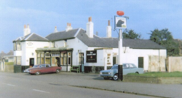 Black Dog, Bedfont