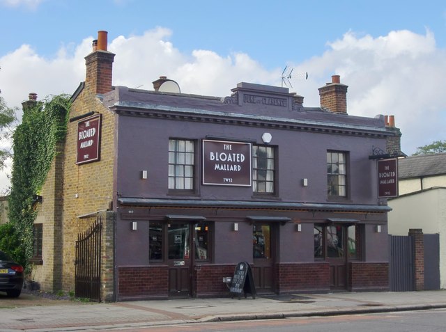 Bloated Mallard, Hampton Hill