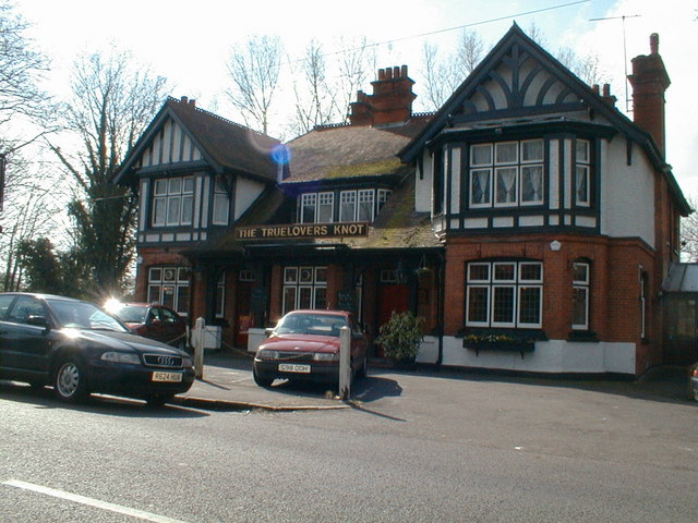 True Lovers Knot, Northwood