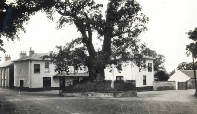 Oak Inn, Feltwell