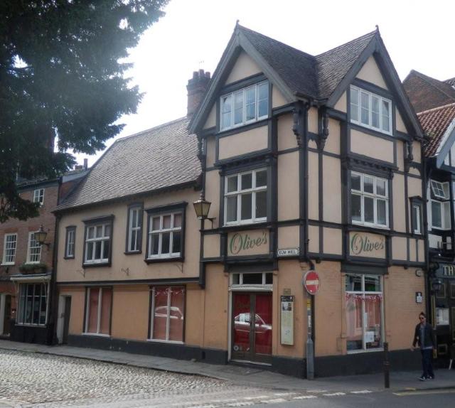 Turkey Cock, Norwich