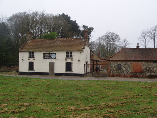 Ostrich, Weasenham All Saints