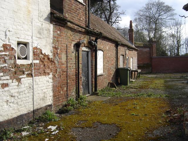 Ostrich, Weasenham All Saints