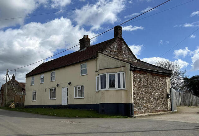 Whissonsett Swan, Whissonsett