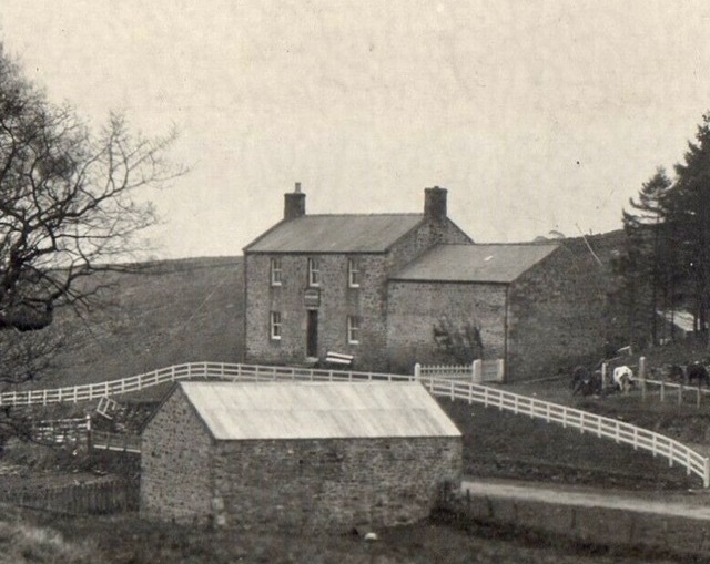 The Moorcock, Greystead