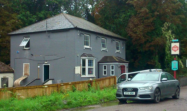 The Volunteer, Grove