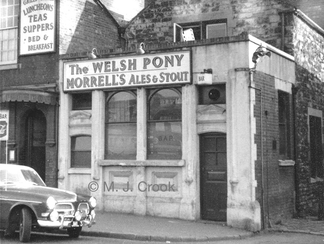 Welsh Pony, Oxford