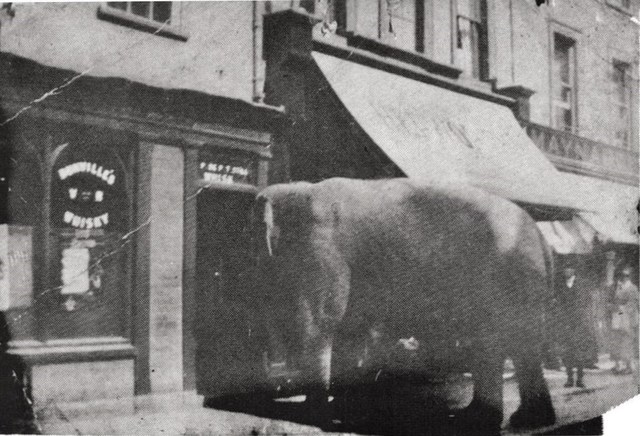 Bridgwater Arms, Bridgwater