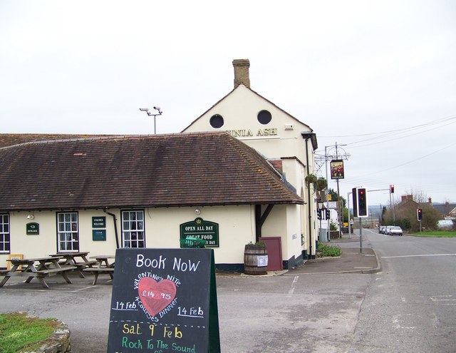 Virginia Ash, Henstridge