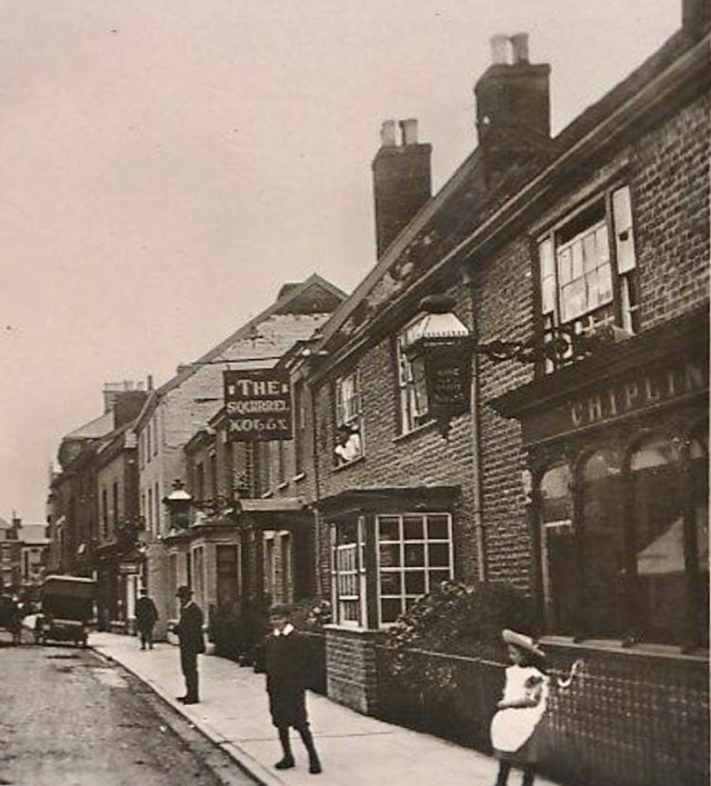 Squirrel Hotel, Wellington