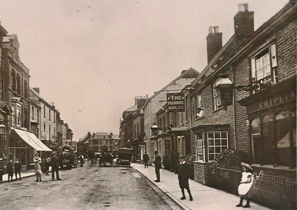 Squirrel Hotel, Wellington