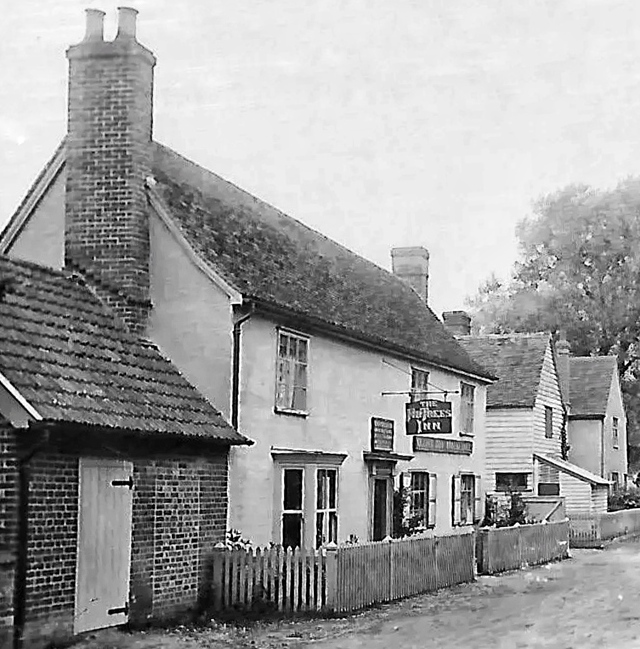 Fir Trees, Cavendish