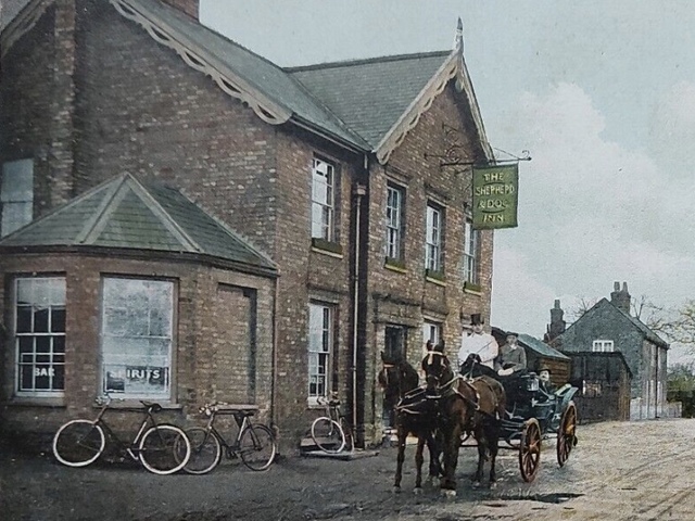 Shepherd & Dog, Nacton