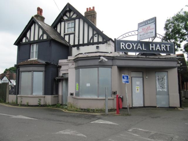 Royal Hart, Ashford