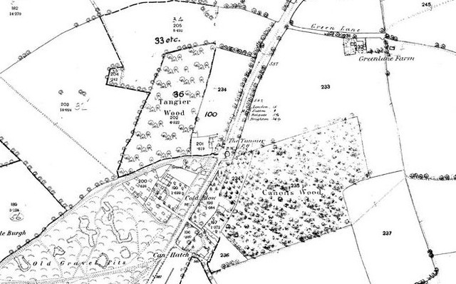 The Tangier, Banstead