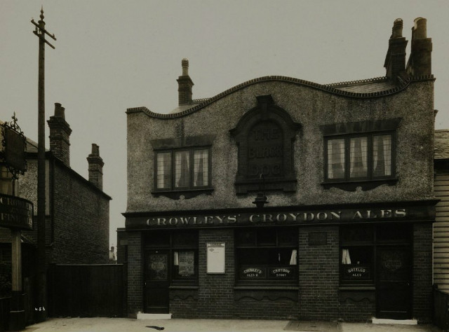 Black Dog, Carshalton