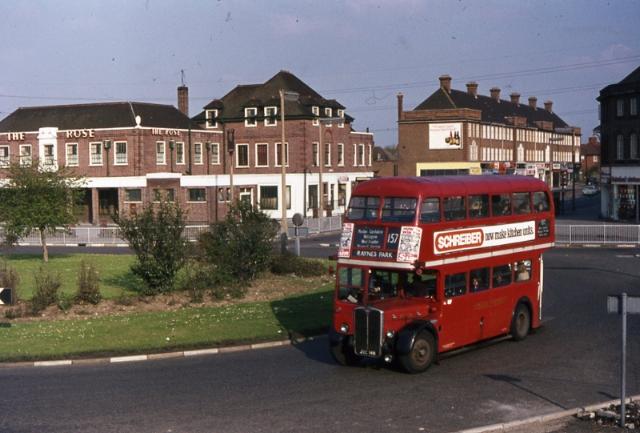 The Rose, Carshalton