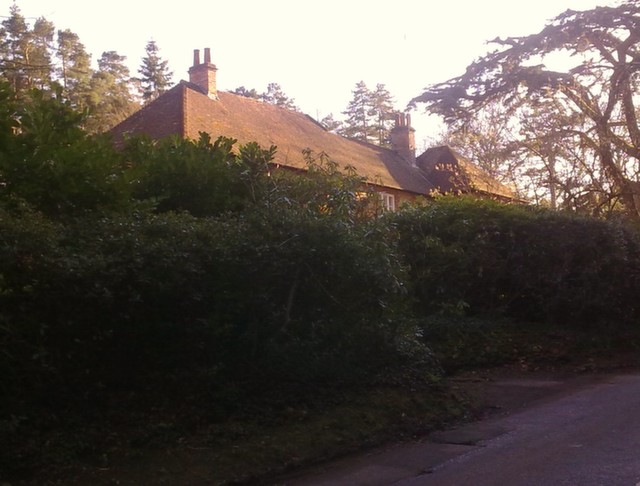 Devils Jumps Inn, Churt