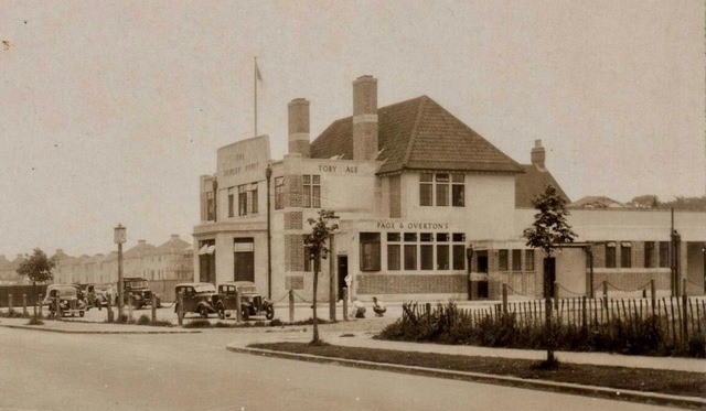 Shirley Poppy, Croydon