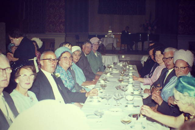 Shirley Poppy, Croydon