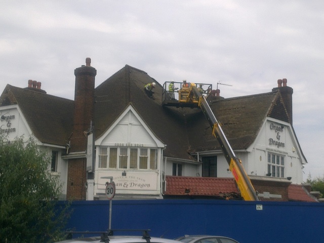 Organ & Dragon, Ewell