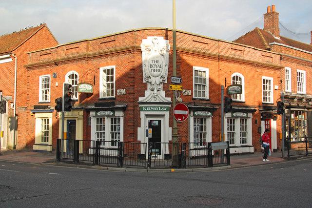 Royal Deer, Farnham