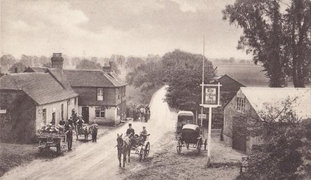 Red Lion, Thursley